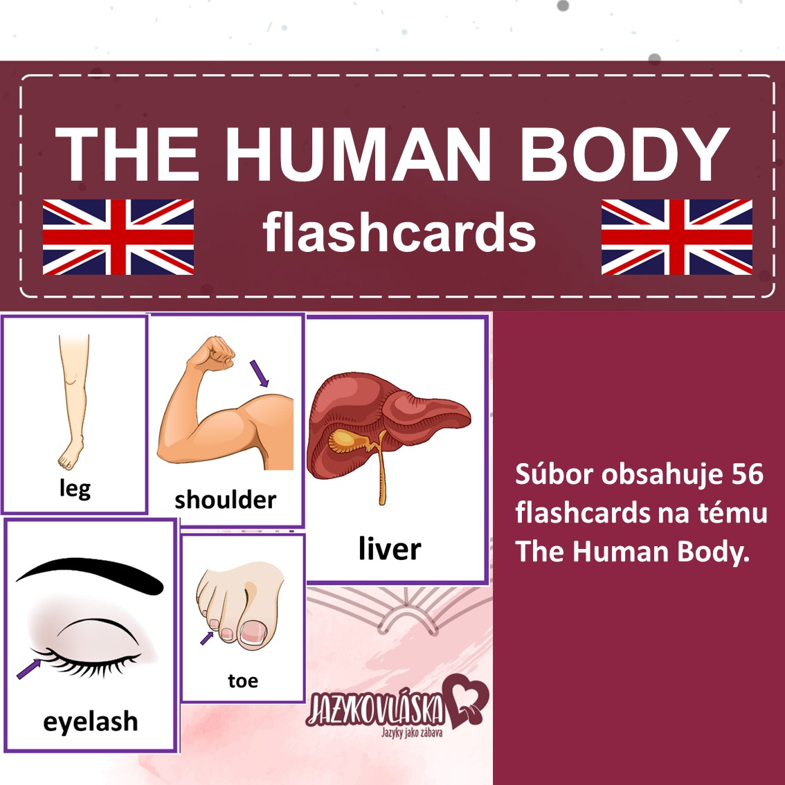 The Human Body Flashcards - Anglický Jazyk | UčiteliaUčiteľom.sk